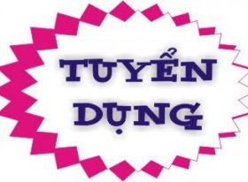TUYỂN KỸ SƯ CẦU ĐƯỜNG